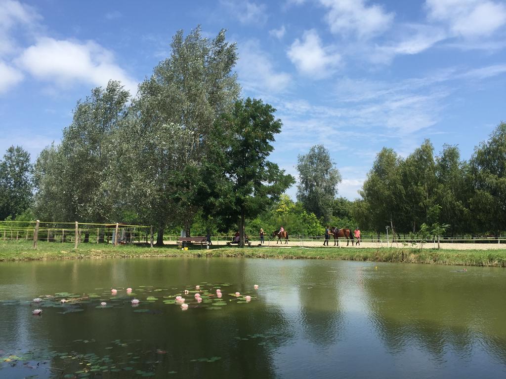 Mohácsi Wellness Vendégház és Lovasklub Esterno foto