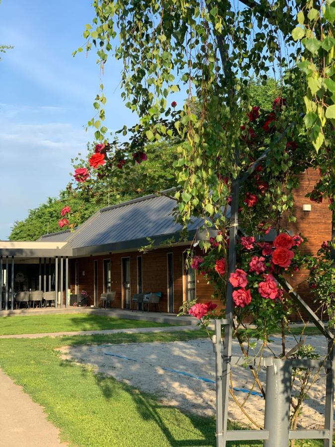 Mohácsi Wellness Vendégház és Lovasklub Esterno foto