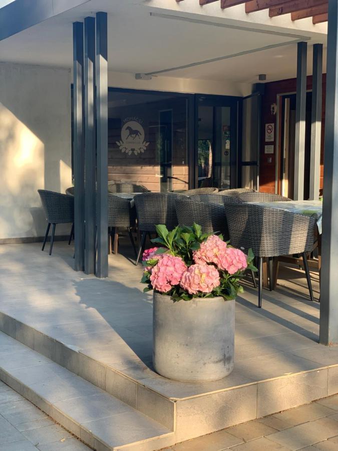 Mohácsi Wellness Vendégház és Lovasklub Esterno foto
